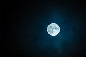 Read more about the article HAPPY MOON FESTIVAL